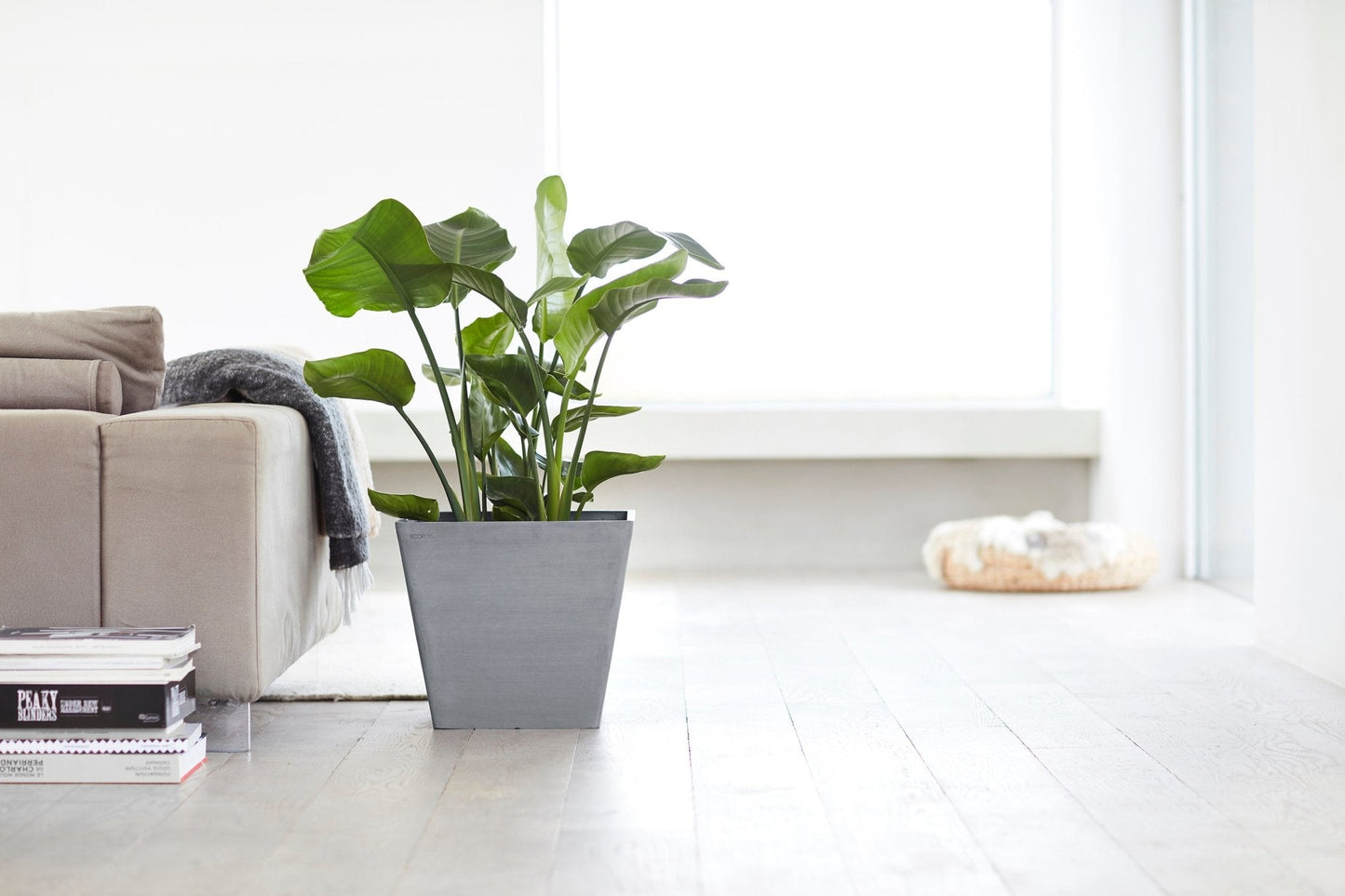 Kukkaruukku - Ecopots - Rotterdam 40cm siniharmaa - Ecopots - Uuden aikakauden kukkaruukku kierrätysmateriaalista
