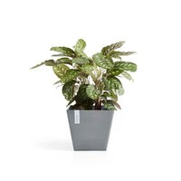 Lillepott Rotterdam 40cm sinihall
