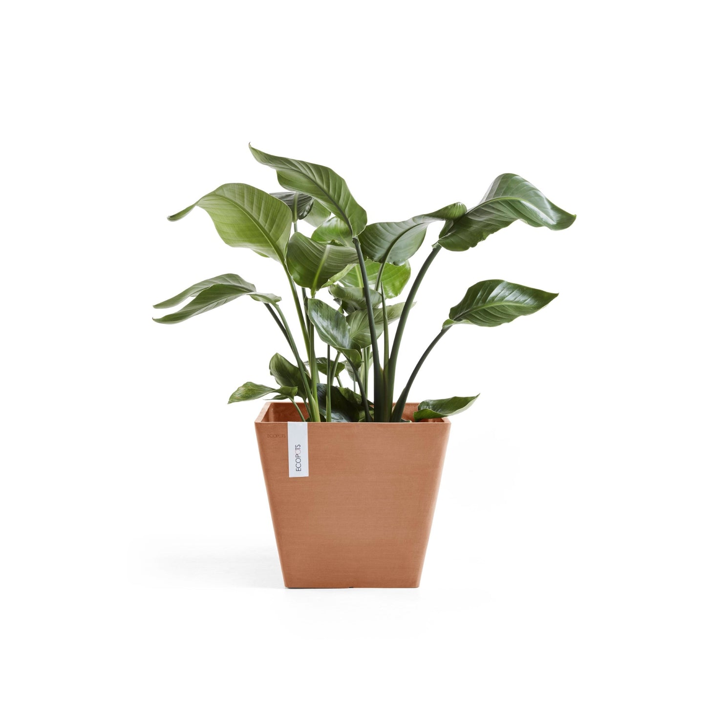 Kukkaruukku - Ecopots - Rotterdam 40cm terracotta - Ecopotskauppa - Uuden aikakauden kukkaruukku