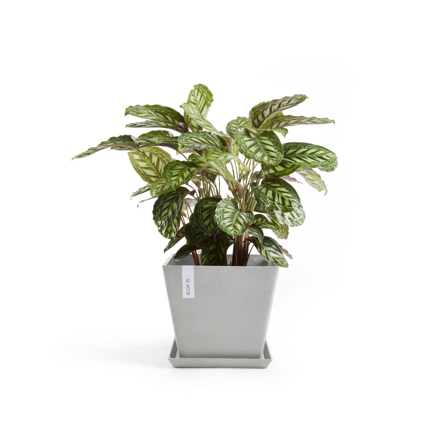 Kukkaruukku - Ecopots - Rotterdam 40cm valkoharmaa - Ecopotskauppa - Uuden aikakauden kukkaruukku