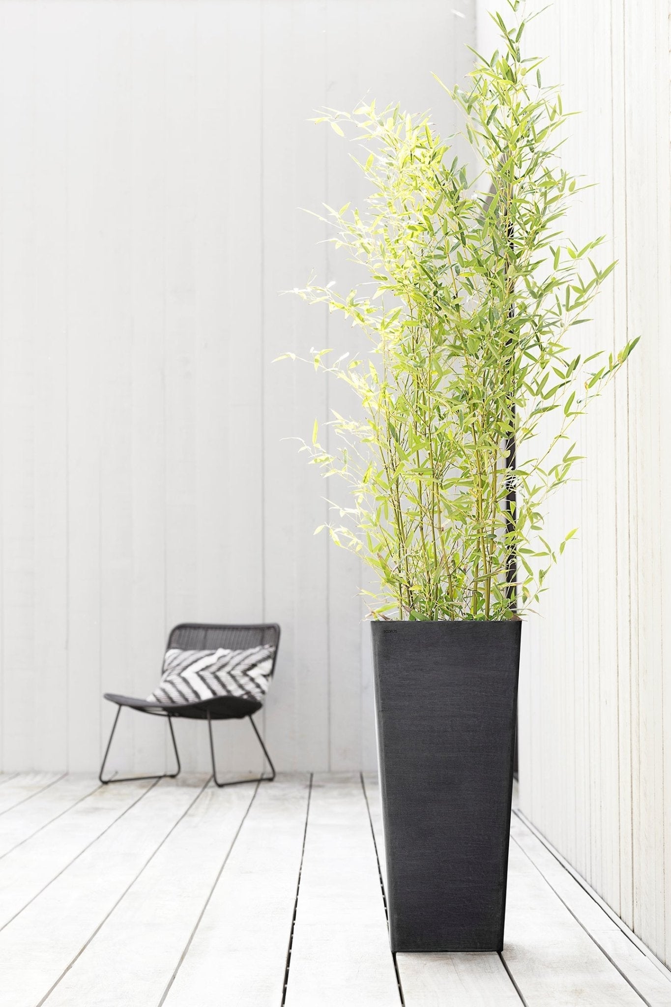 Kukkaruukku - Ecopots - Rotterdam korkea 70cm tummanharmaa - Ecopots - Uuden aikakauden kukkaruukku kierrätysmateriaalista