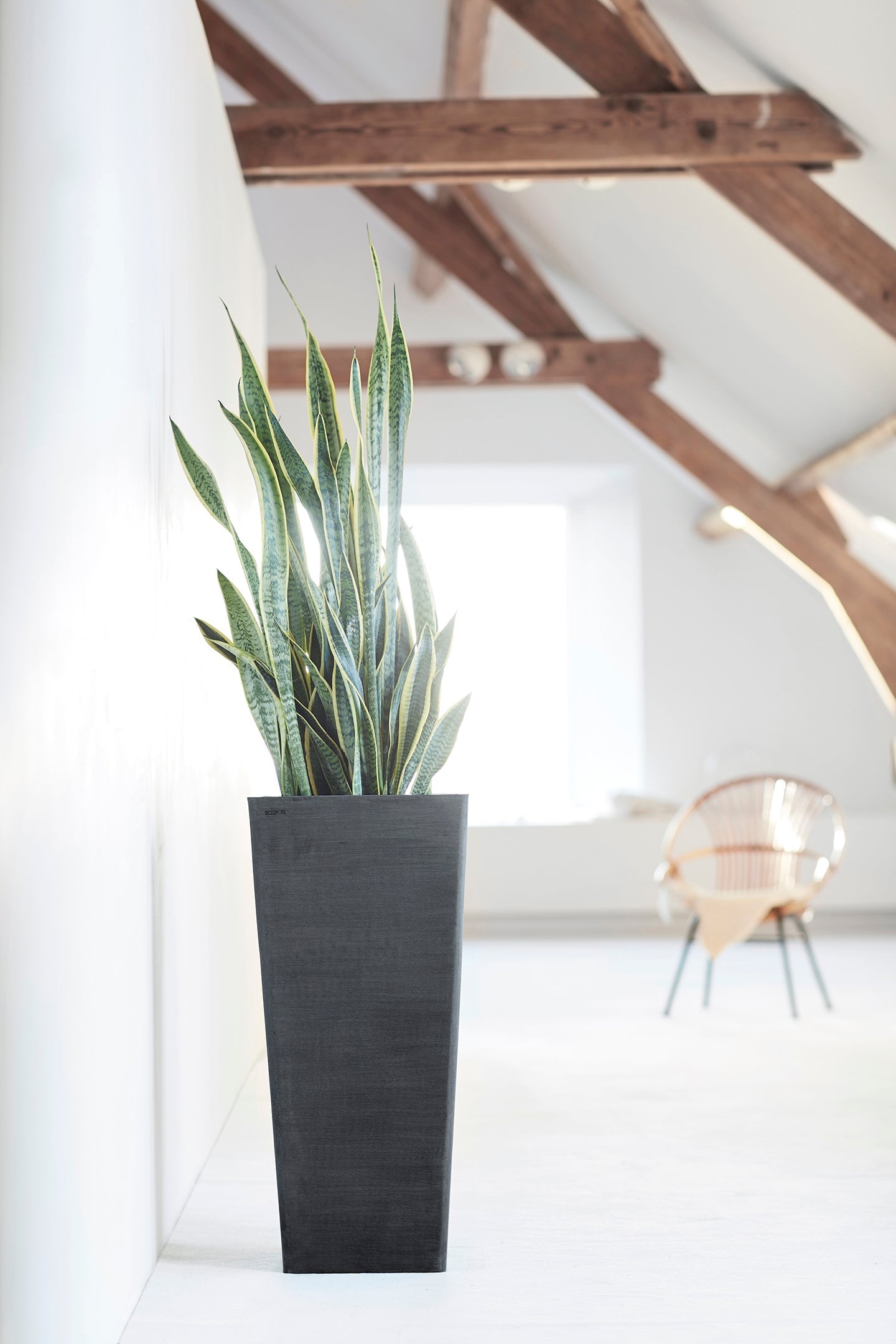 Kukkaruukku - Ecopots - Rotterdam korkea 70cm tummanharmaa - Ecopotskauppa - Uuden aikakauden kukkaruukku
