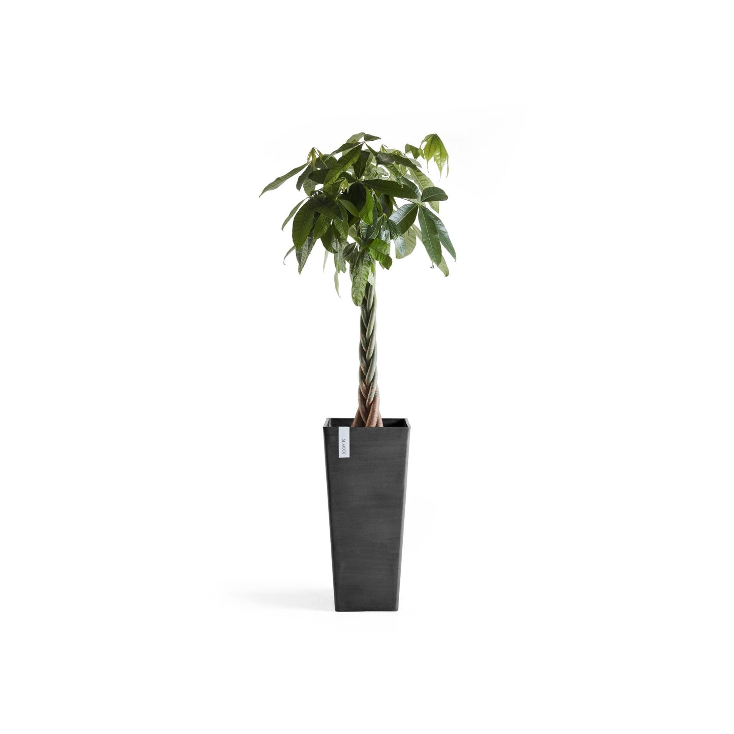 Kukkaruukku - Ecopots - Rotterdam korkea 70cm tummanharmaa - Ecopotskauppa - Uuden aikakauden kukkaruukku