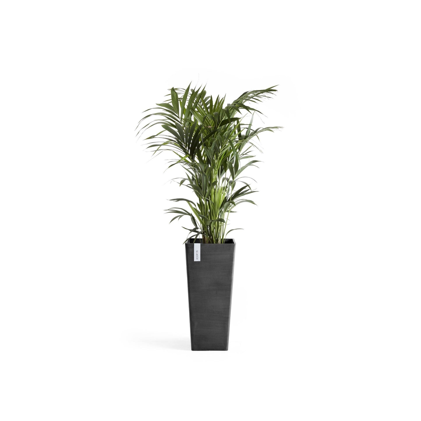 Kukkaruukku - Ecopots - Rotterdam korkea 70cm tummanharmaa - Ecopotskauppa - Uuden aikakauden kukkaruukku