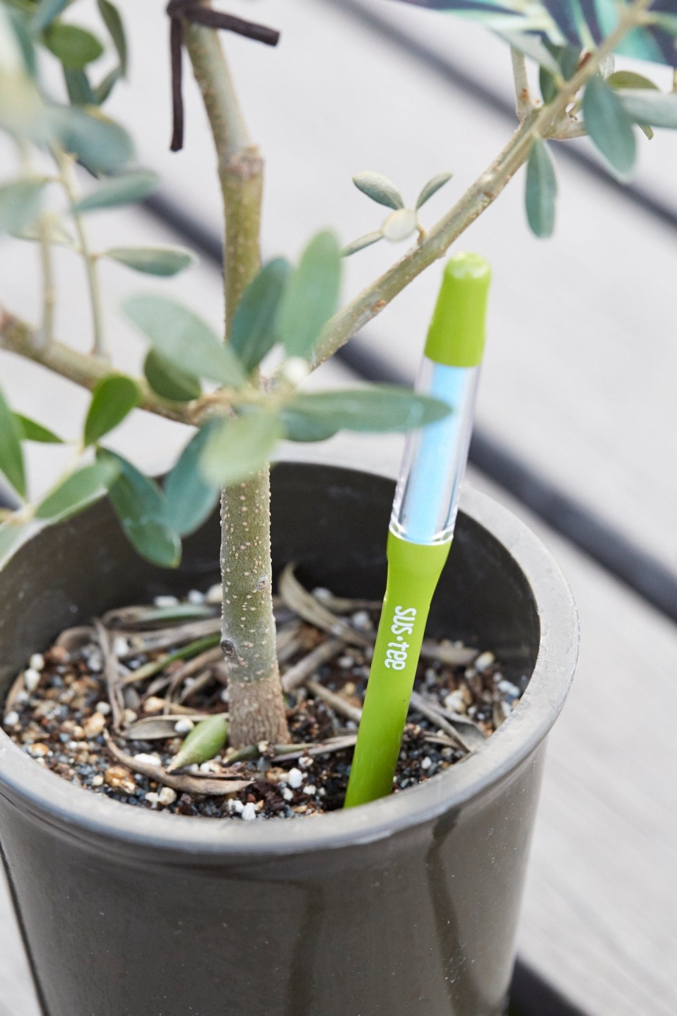 Kukkaruukku - Ecopots - Ruukun kosteustason mittaaja 12cm - Ecopots - Uuden aikakauden kukkaruukku kierrätysmateriaalista