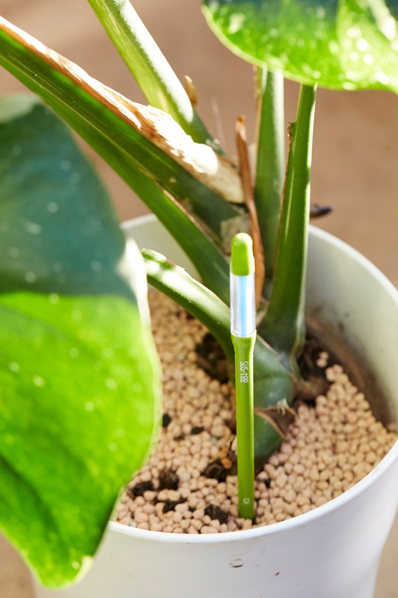 Kukkaruukku - Ecopots - Ruukun kosteustason mittaaja 12cm - Ecopots - Uuden aikakauden kukkaruukku kierrätysmateriaalista