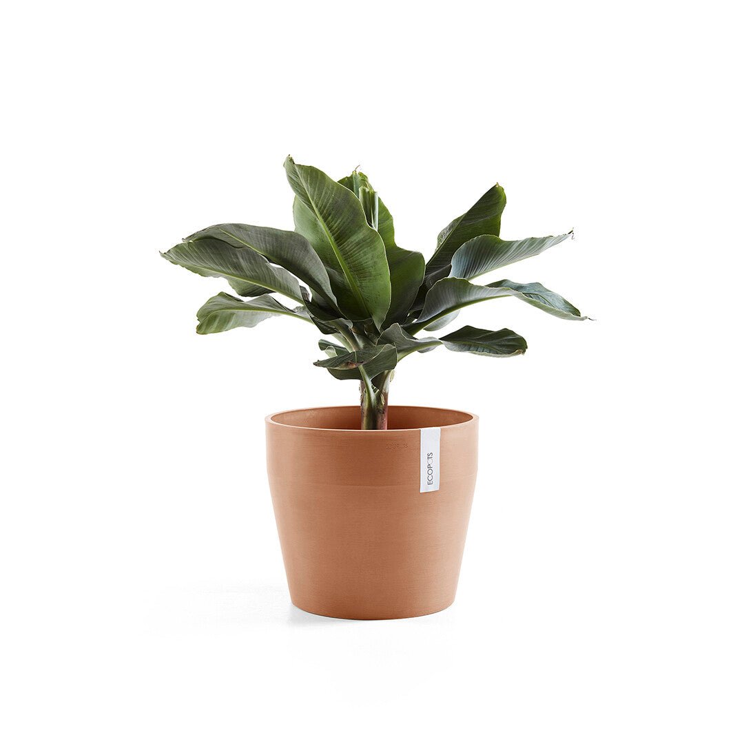 Kukkaruukku - Ecopots - Sankara 40cm terracotta - Ecopotskauppa - Uuden aikakauden kukkaruukku