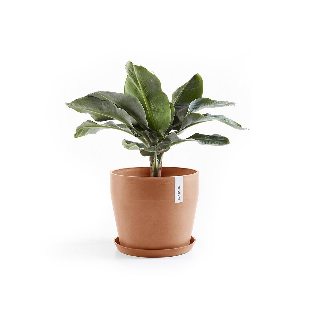 Kukkaruukku - Ecopots - Sankara 40cm terracotta - Ecopotskauppa - Uuden aikakauden kukkaruukku