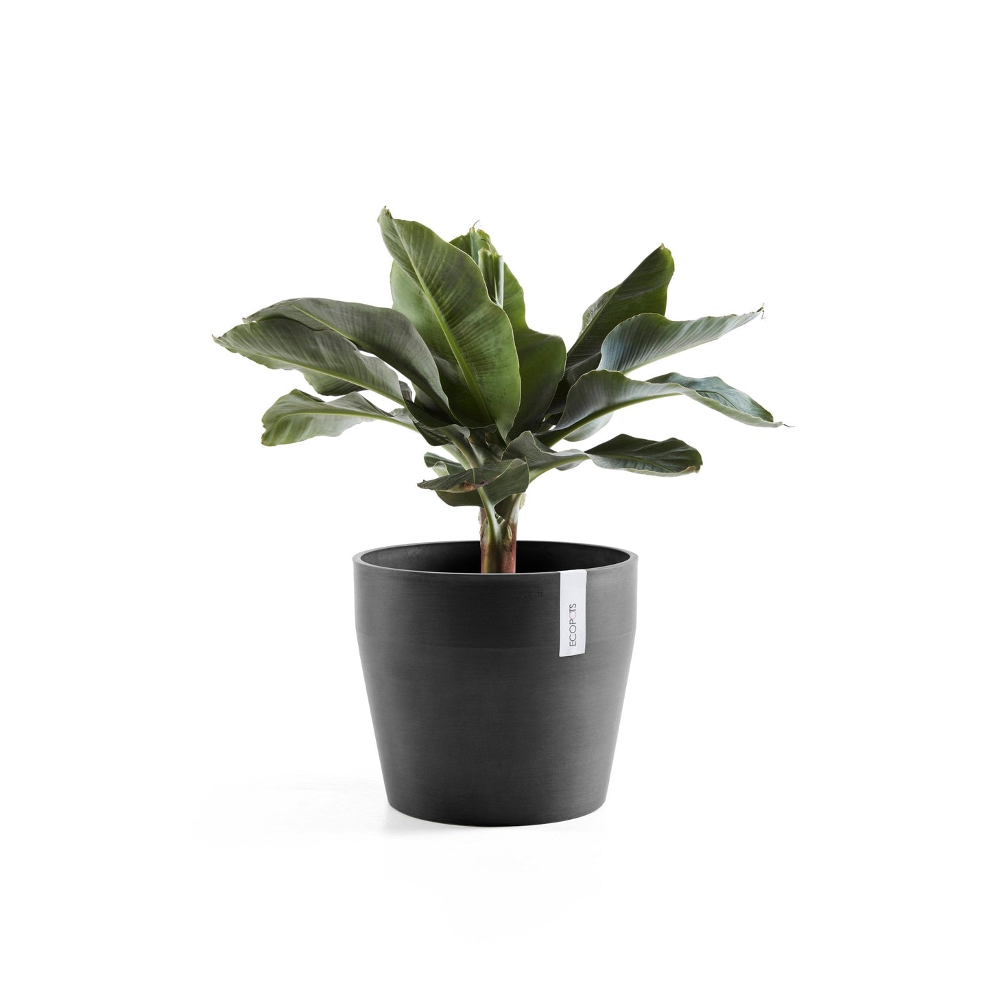 Kukkaruukku - Ecopots - Sankara 40cm tummanharmaa - Ecopotskauppa - Uuden aikakauden kukkaruukku