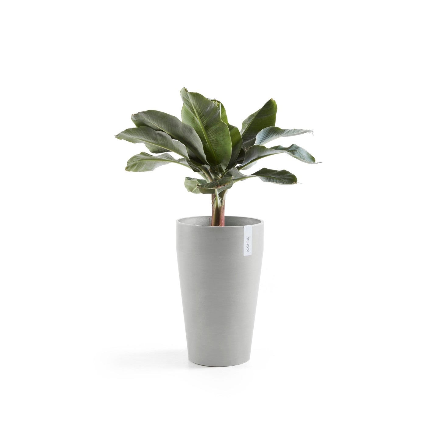 Kukkaruukku - Ecopots - Sankara keskikorkea 55cm valkoharmaa - Ecopotskauppa - Uuden aikakauden kukkaruukku