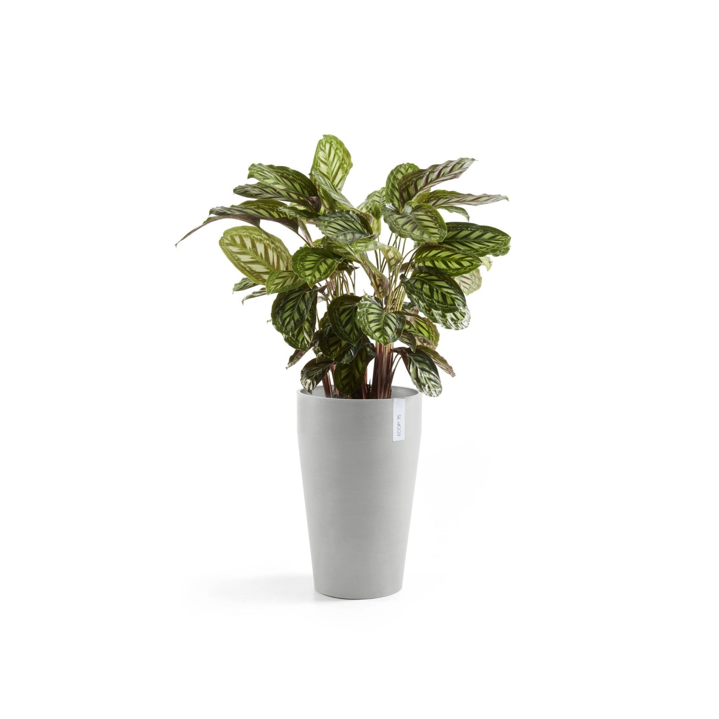 Kukkaruukku - Ecopots - Sankara keskikorkea 55cm valkoharmaa - Ecopotskauppa - Uuden aikakauden kukkaruukku