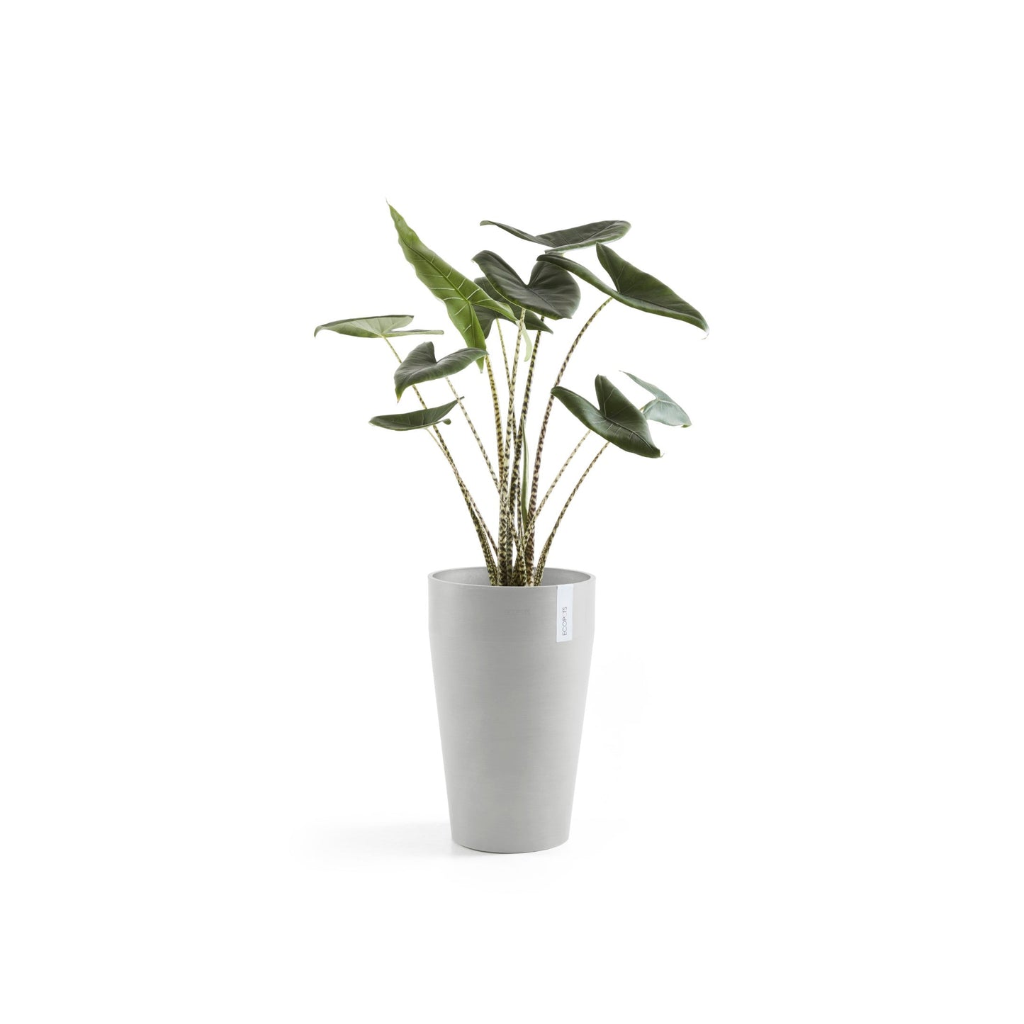 Kukkaruukku - Ecopots - Sankara keskikorkea 55cm valkoharmaa - Ecopotskauppa - Uuden aikakauden kukkaruukku
