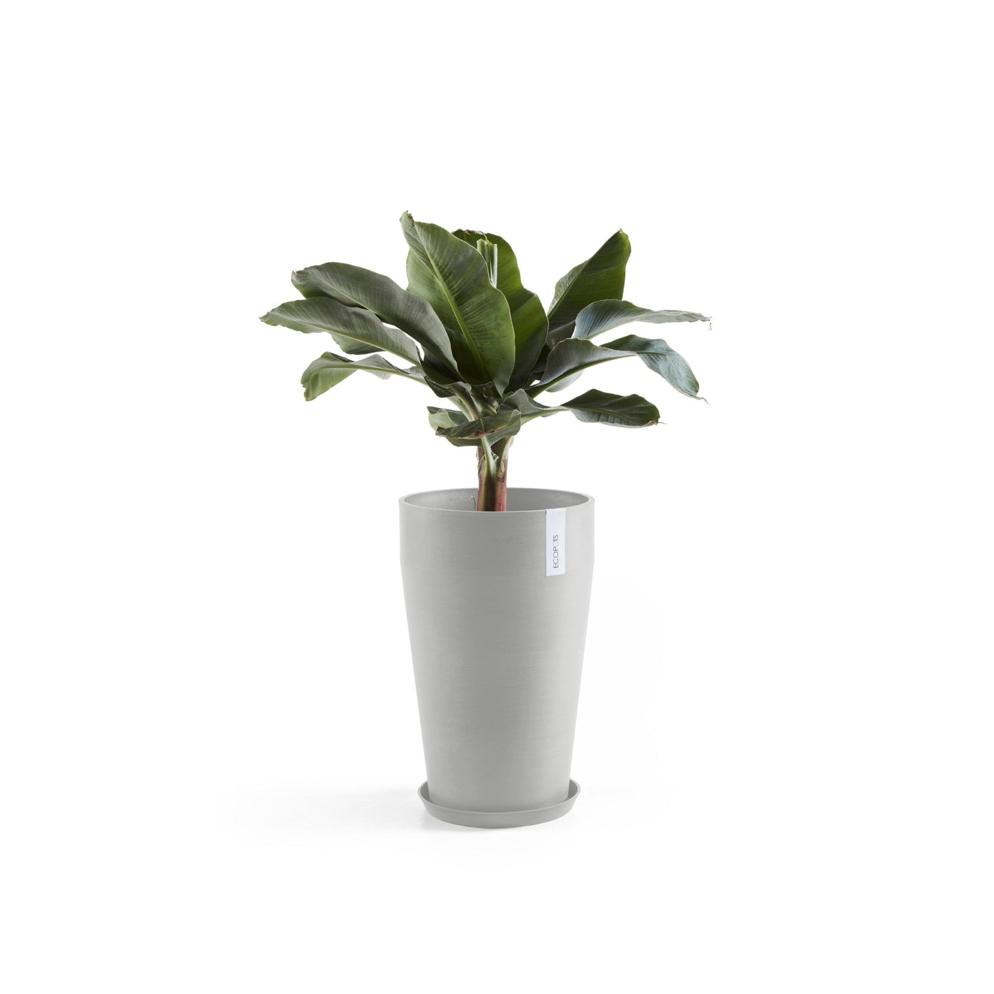Kukkaruukku - Ecopots - Sankara keskikorkea 55cm valkoharmaa - Ecopotskauppa - Uuden aikakauden kukkaruukku