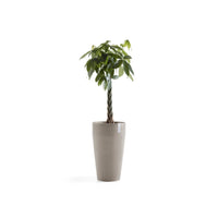 Lillepott Sankara kõrge 75cm taupe