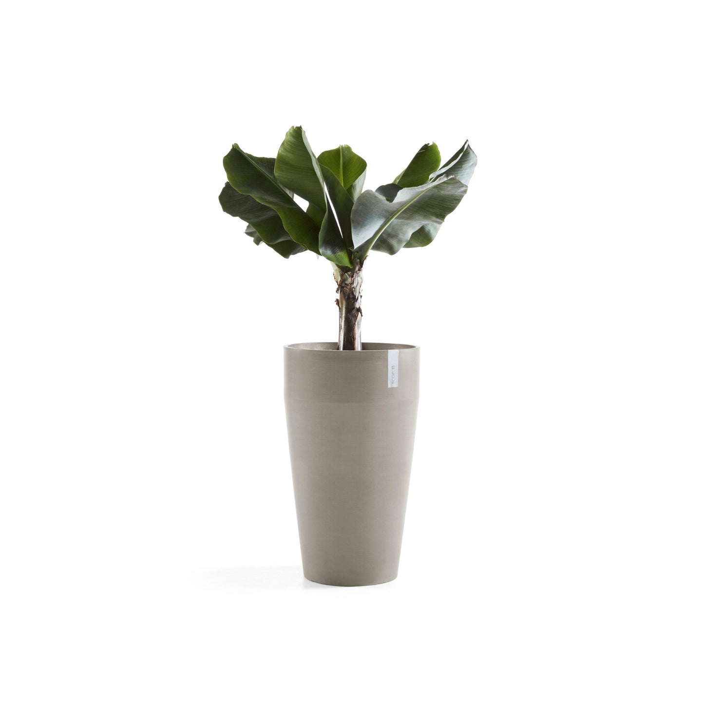 Kukkaruukku - Ecopots - Sankara korkea 75cm taupe - Ecopotskauppa - Uuden aikakauden kukkaruukku