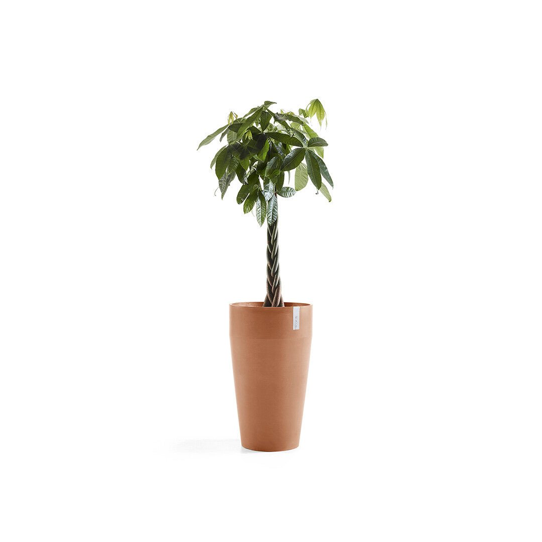 Kukkaruukku - Ecopots - Sankara korkea 75cm terracotta - Ecopotskauppa - Uuden aikakauden kukkaruukku