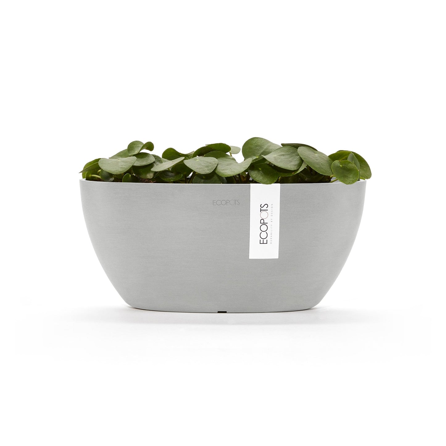 Kukkaruukku - Ecopots - Sofia 30cm valkoharmaa - Ecopotskauppa - Uuden aikakauden kukkaruukku