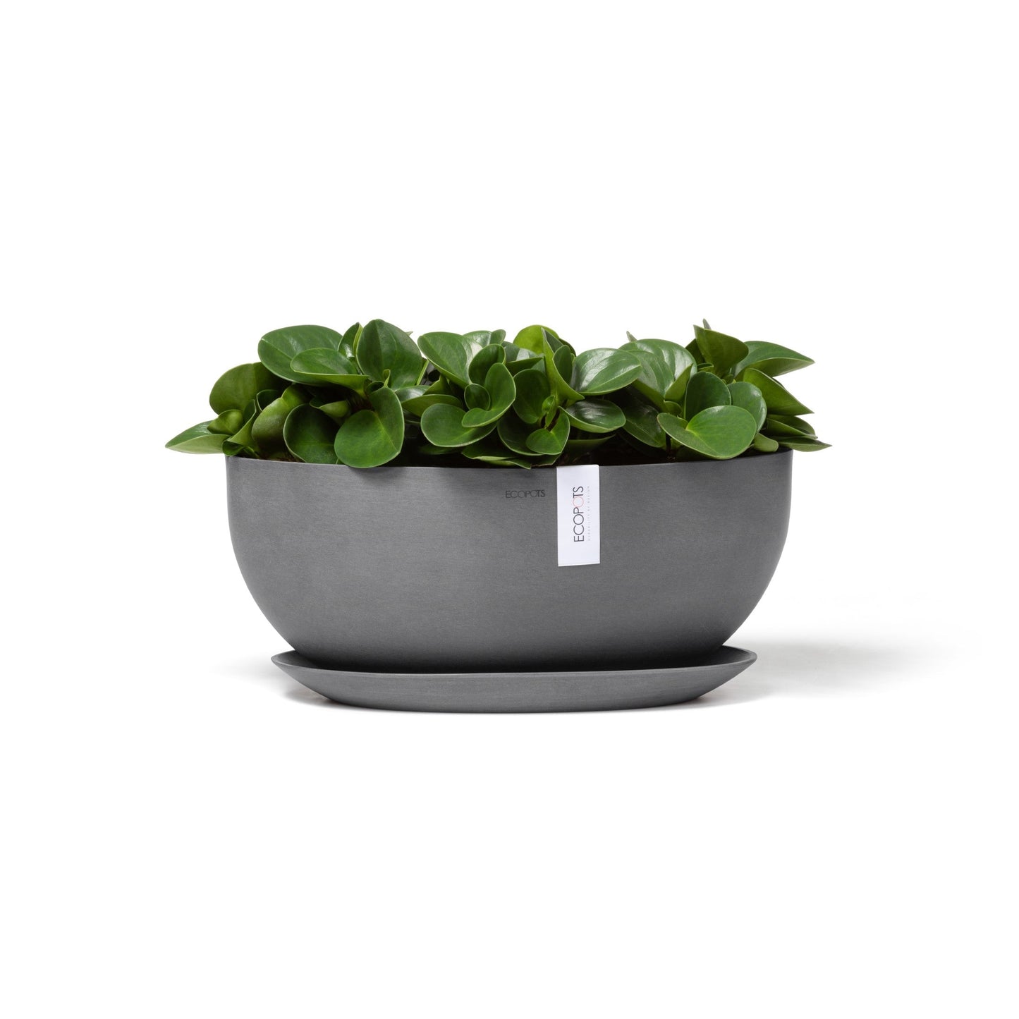 Kukkaruukku - Ecopots - Sofia 43cm harmaa - Ecopotskauppa - Uuden aikakauden kukkaruukku