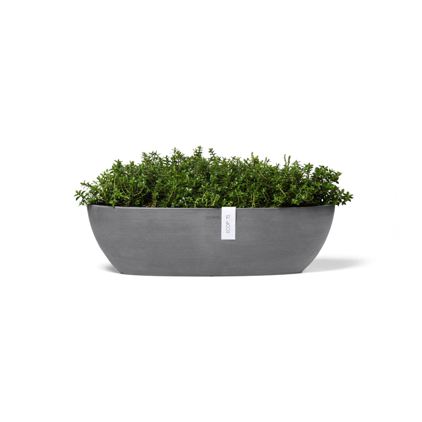 Kukkaruukku - Ecopots - Sofia pitkä 56cm harmaa - Ecopotskauppa - Uuden aikakauden kukkaruukku