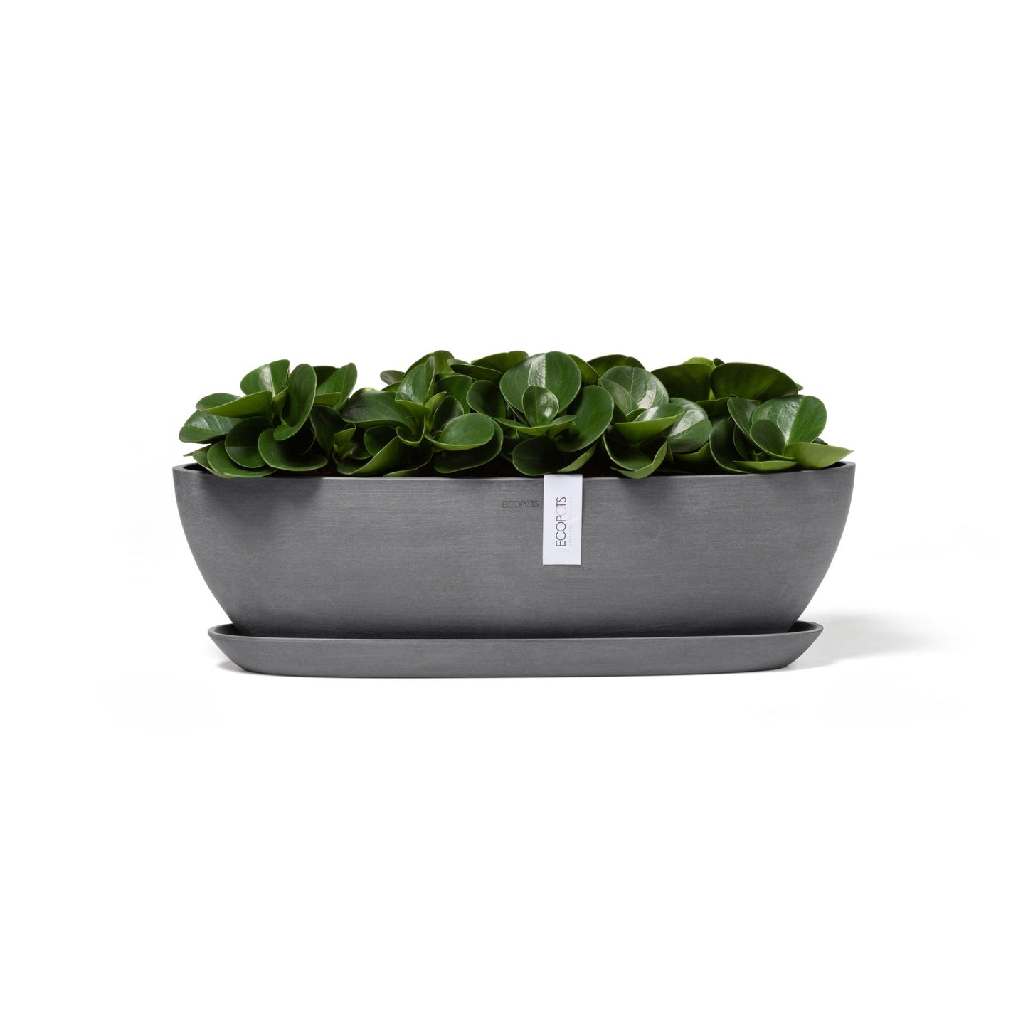 Kukkaruukku - Ecopots - Sofia pitkä 56cm harmaa - Ecopotskauppa - Uuden aikakauden kukkaruukku