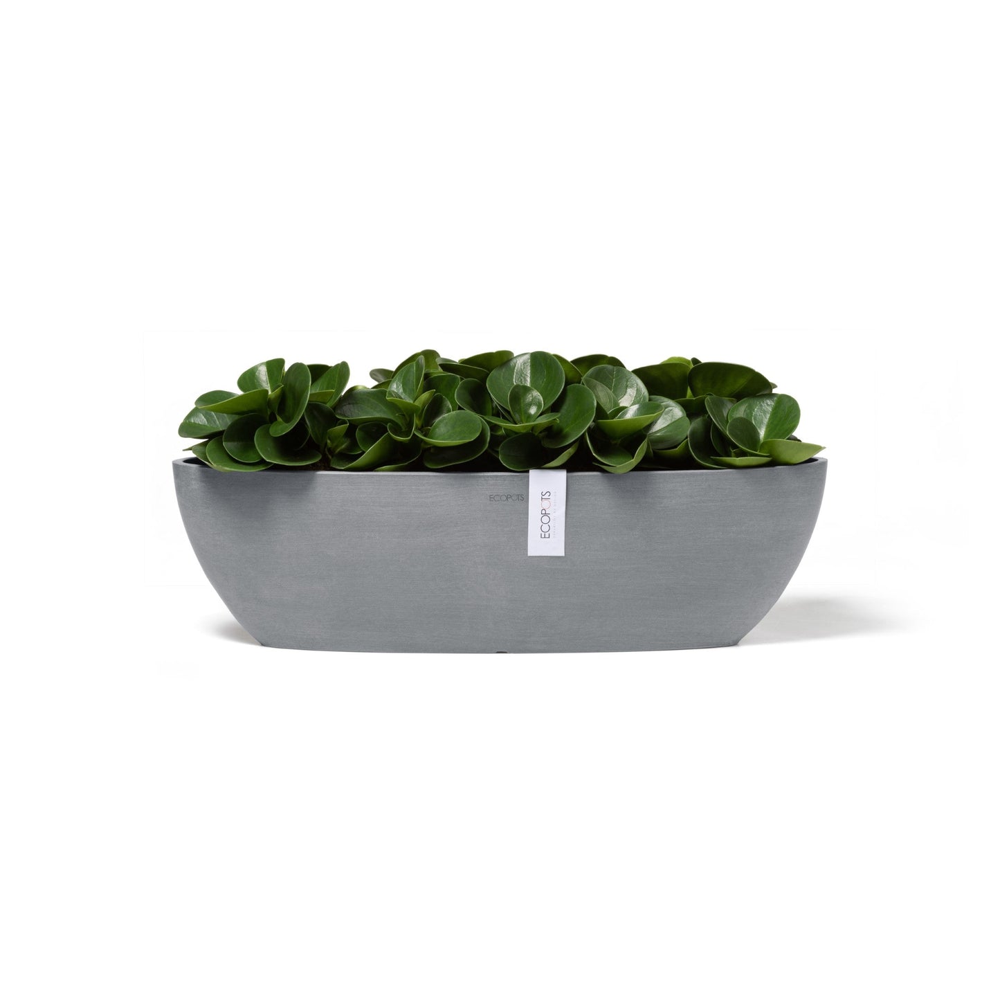 Kukkaruukku - Ecopots - Sofia pitkä 56cm siniharmaa - Ecopotskauppa - Uuden aikakauden kukkaruukku