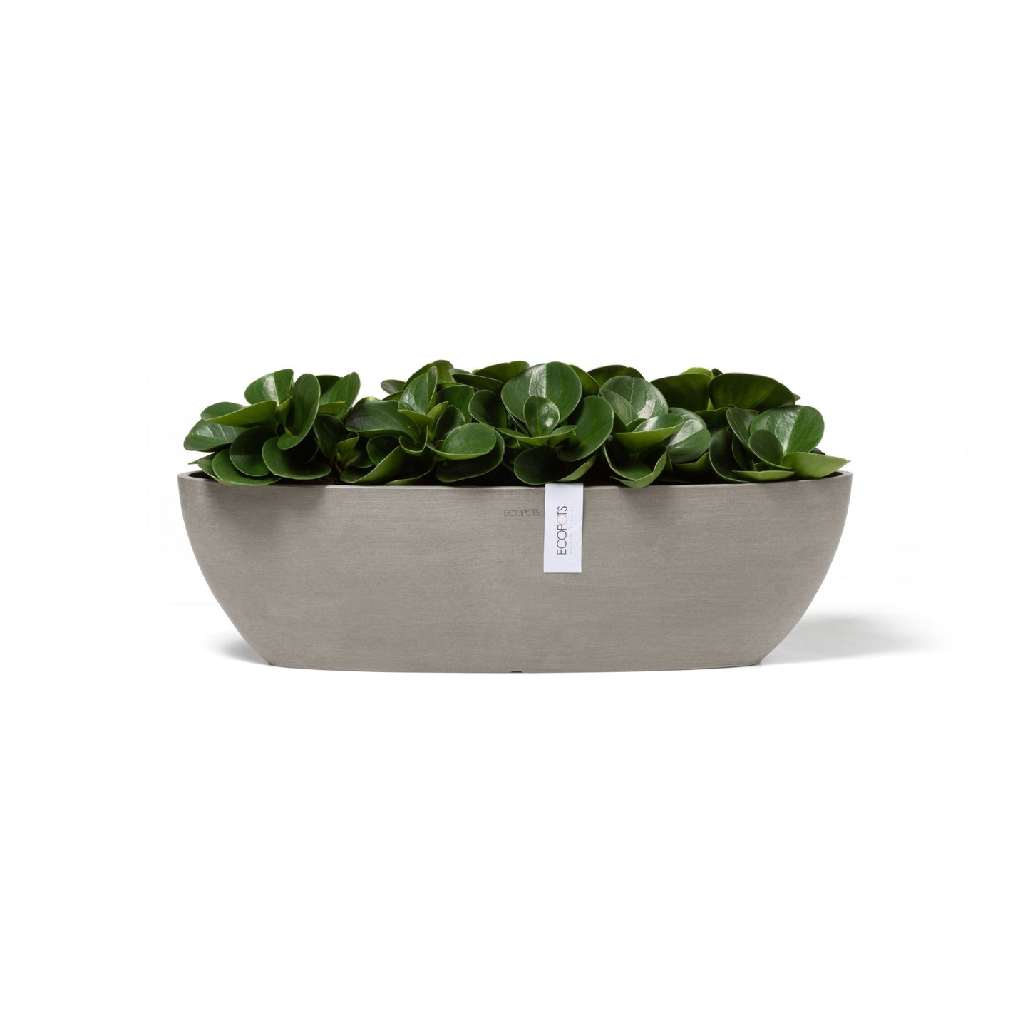 Kukkaruukku - Ecopots - Sofia pitkä 56cm taupe - Ecopotskauppa - Uuden aikakauden kukkaruukku