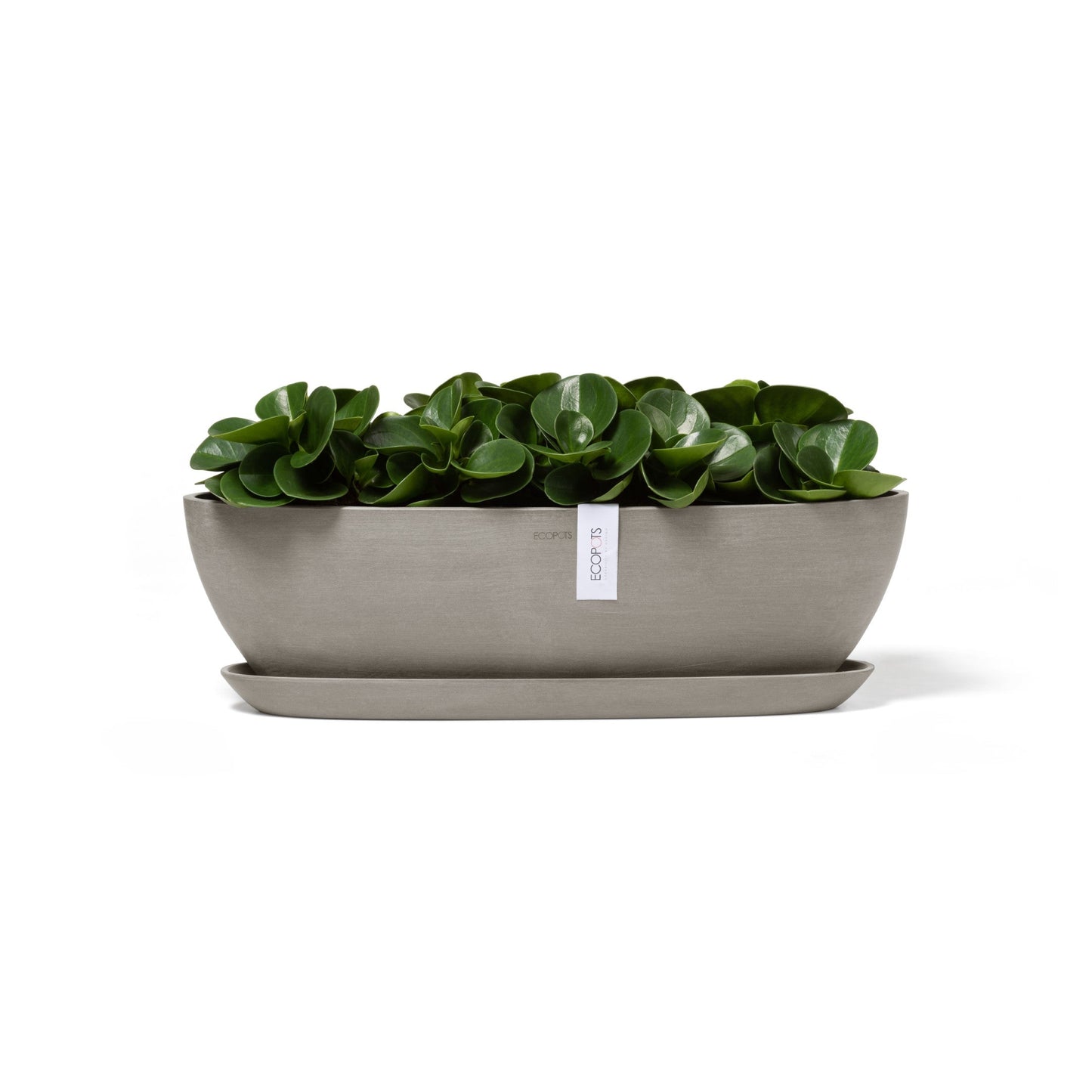 Kukkaruukku - Ecopots - Sofia pitkä 56cm taupe - Ecopotskauppa - Uuden aikakauden kukkaruukku