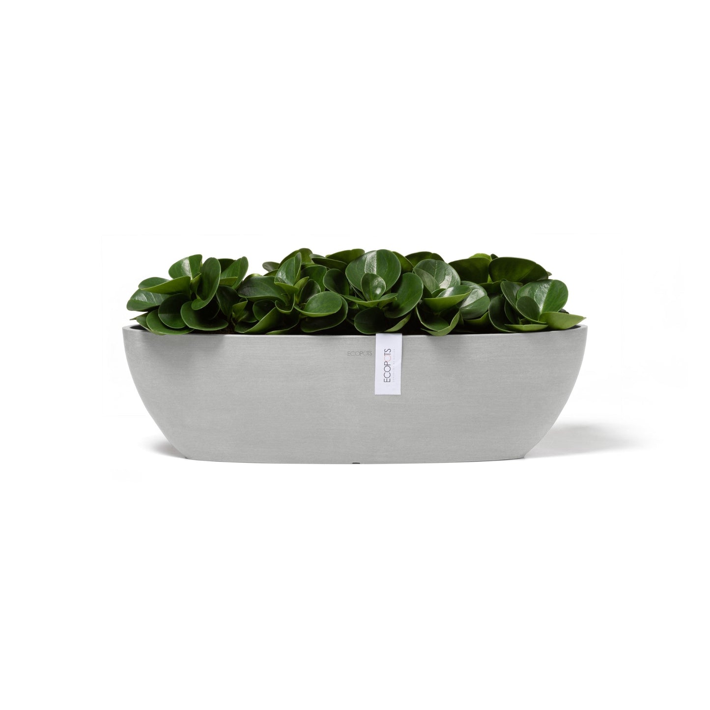 Kukkaruukku - Ecopots - Sofia pitkä 56cm valkoharmaa - Ecopotskauppa - Uuden aikakauden kukkaruukku