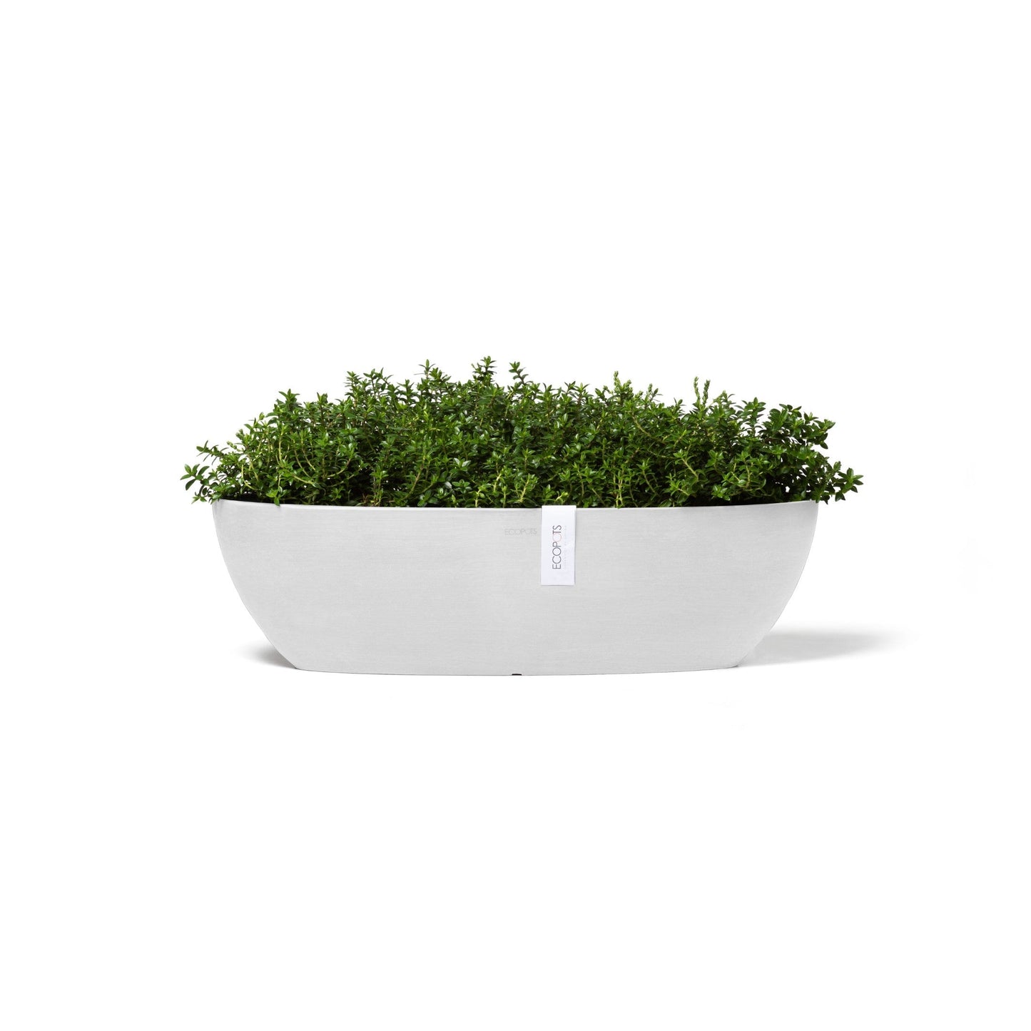 Kukkaruukku - Ecopots - Sofia pitkä 56cm valkoinen - Ecopotskauppa - Uuden aikakauden kukkaruukku