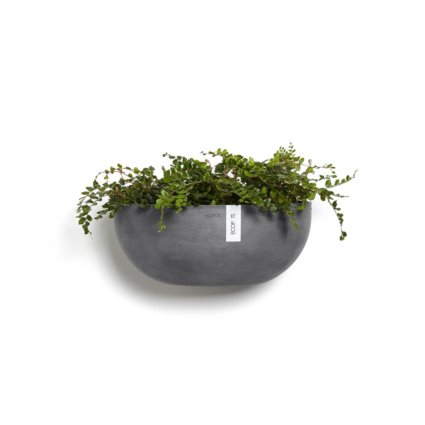 Kukkaruukku - Ecopots - Sofia seinä 43cm harmaa - Ecopotskauppa - Uuden aikakauden kukkaruukku