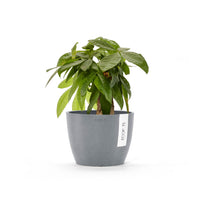 Lillepott Tukholma 16cm sinihall