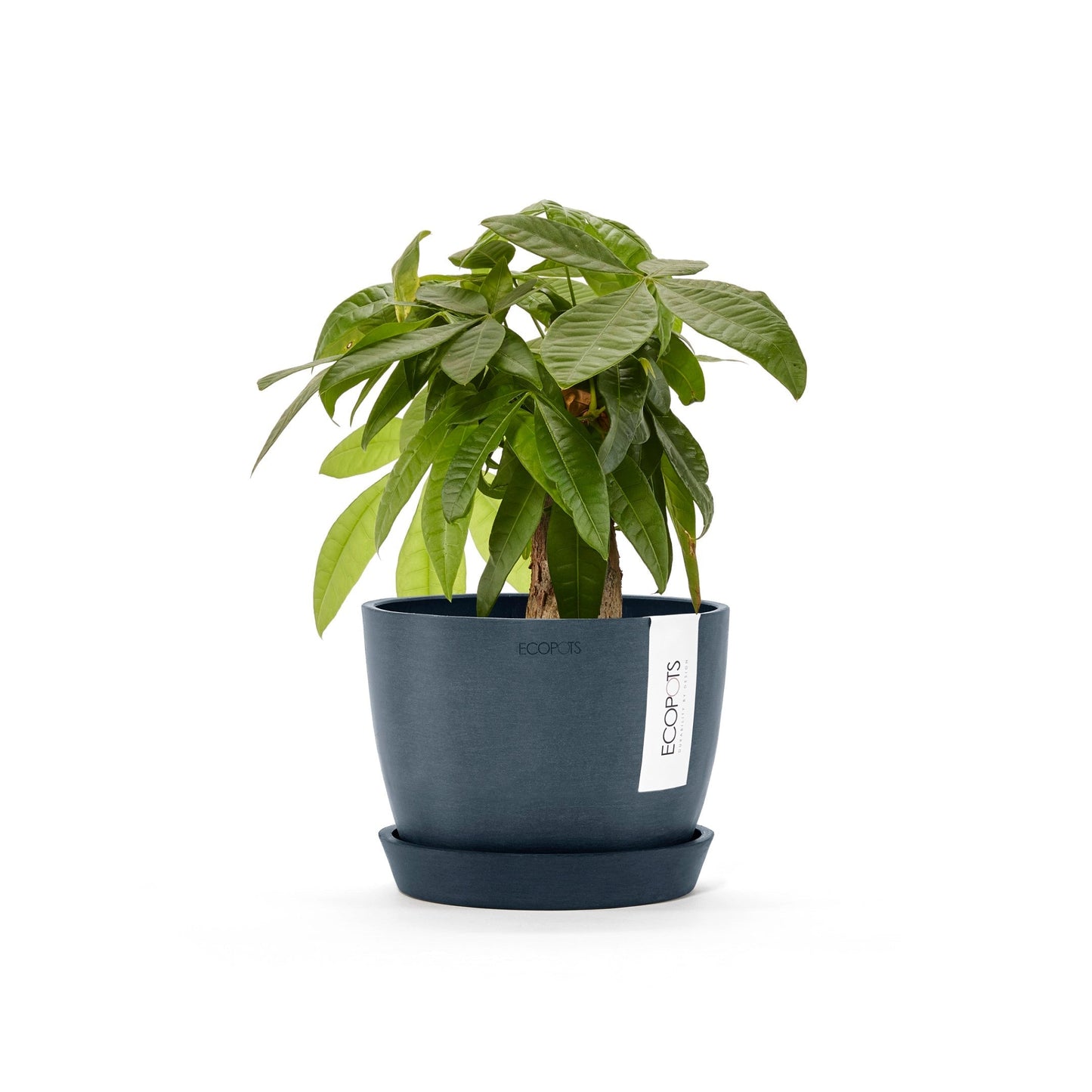 Kukkaruukku - Ecopots - Tukholma 16cm tummansininen - Ecopotskauppa - Uuden aikakauden kukkaruukku