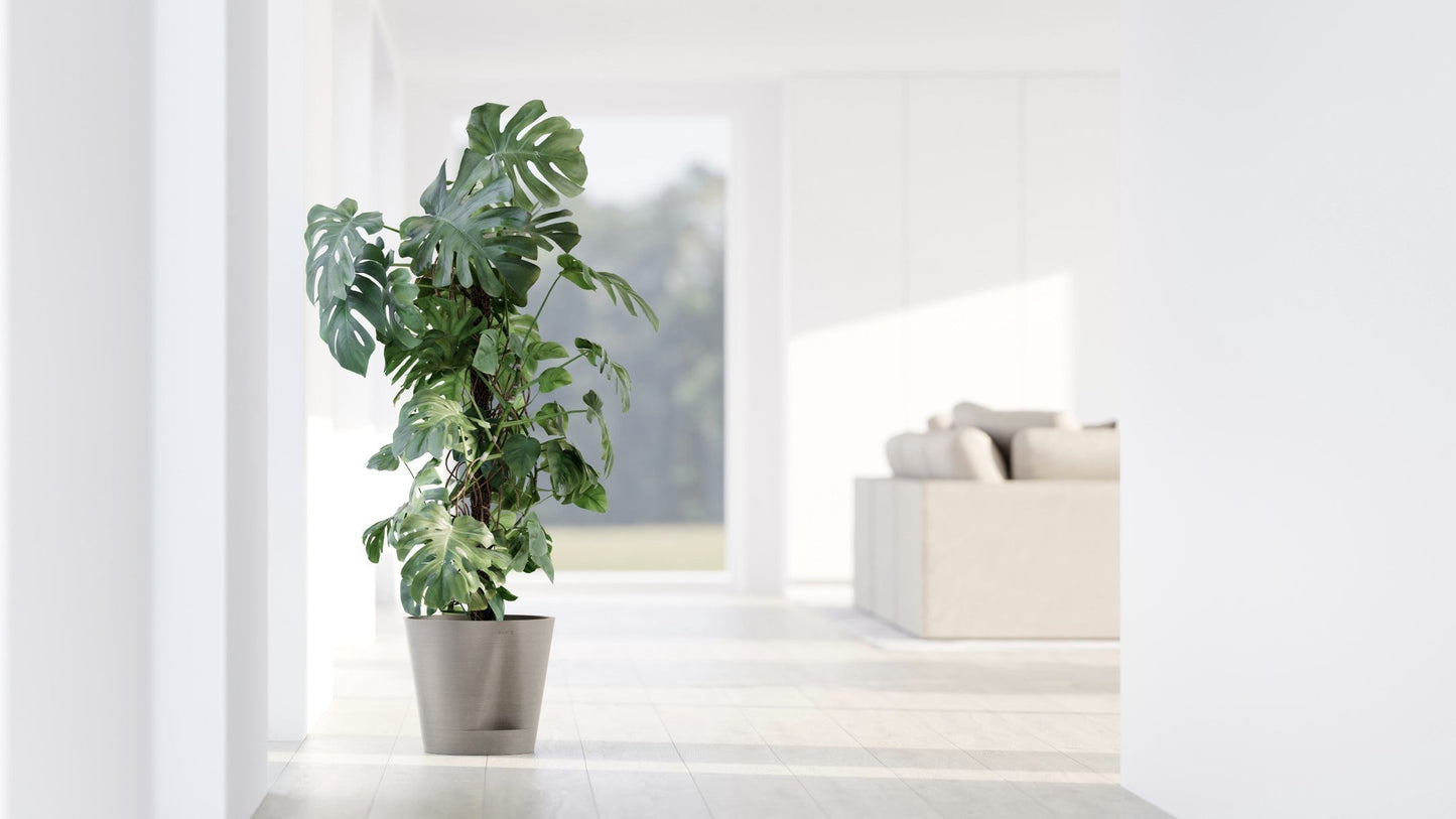 Kukkaruukku - Ecopots - Venetsia 2.0 20cm taupe - Ecopotskauppa - Uuden aikakauden kukkaruukku