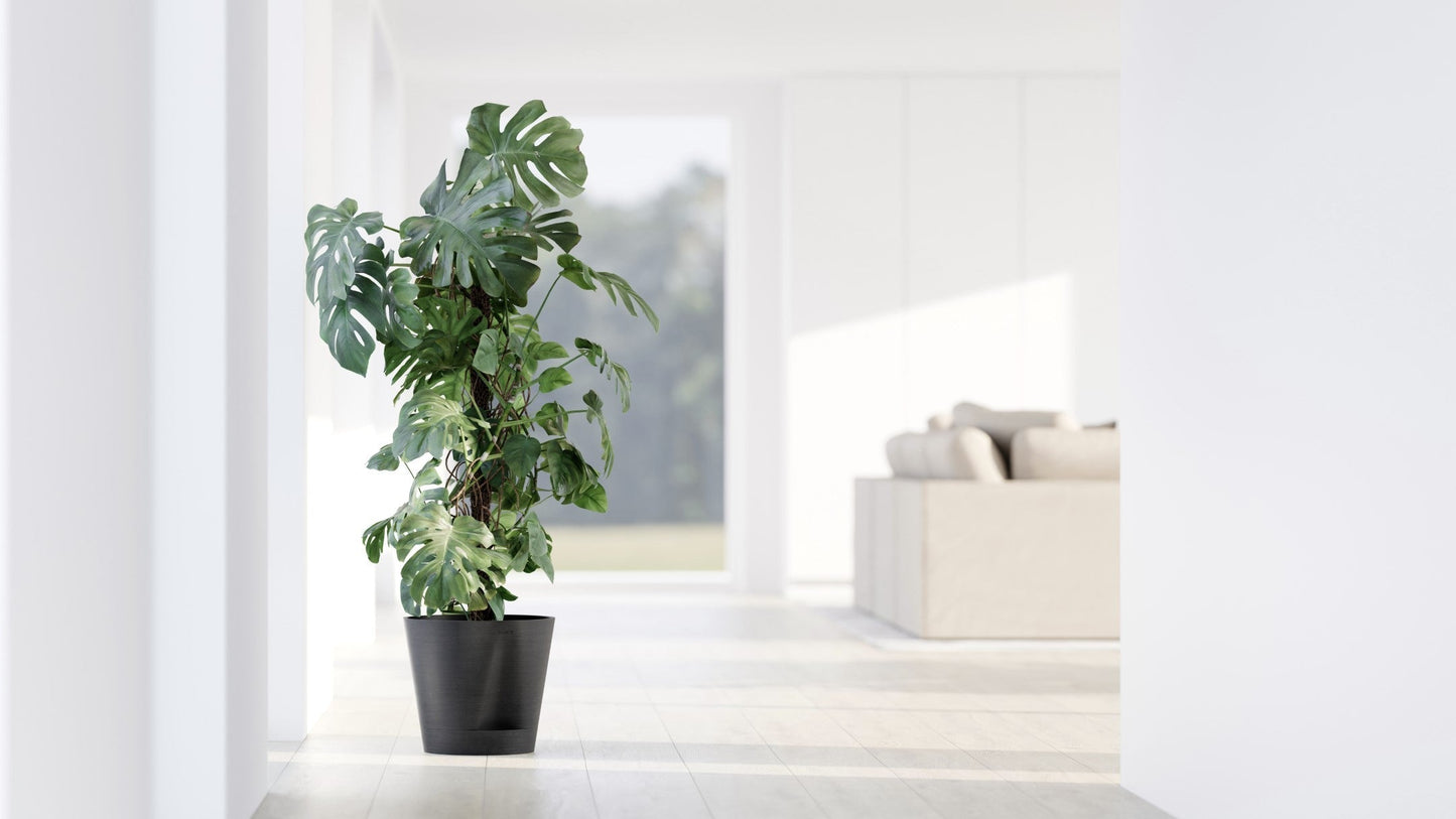 Kukkaruukku - Ecopots - Venetsia 2.0 20cm tummanharmaa - Ecopotskauppa - Uuden aikakauden kukkaruukku