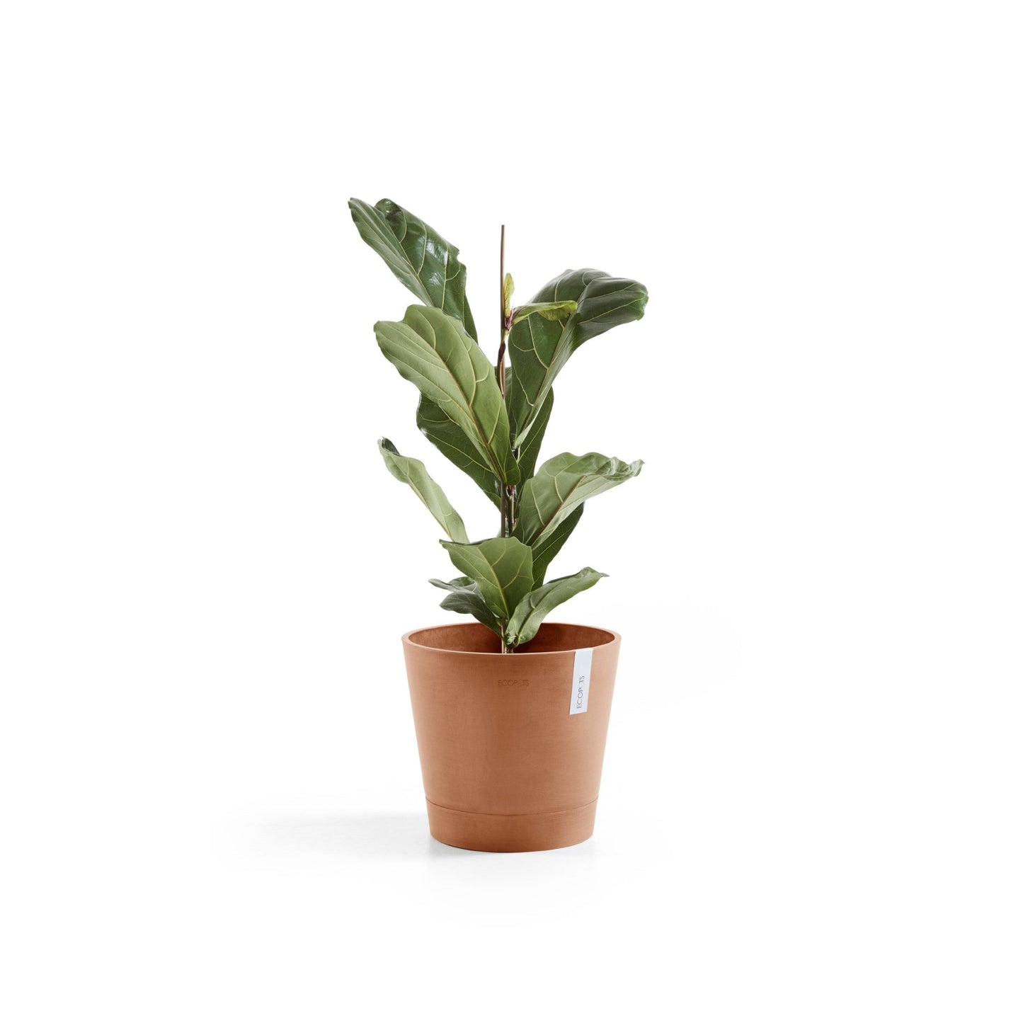 Kukkaruukku - Ecopots - Venetsia 30cm terracotta - Ecopotskauppa - Uuden aikakauden kukkaruukku