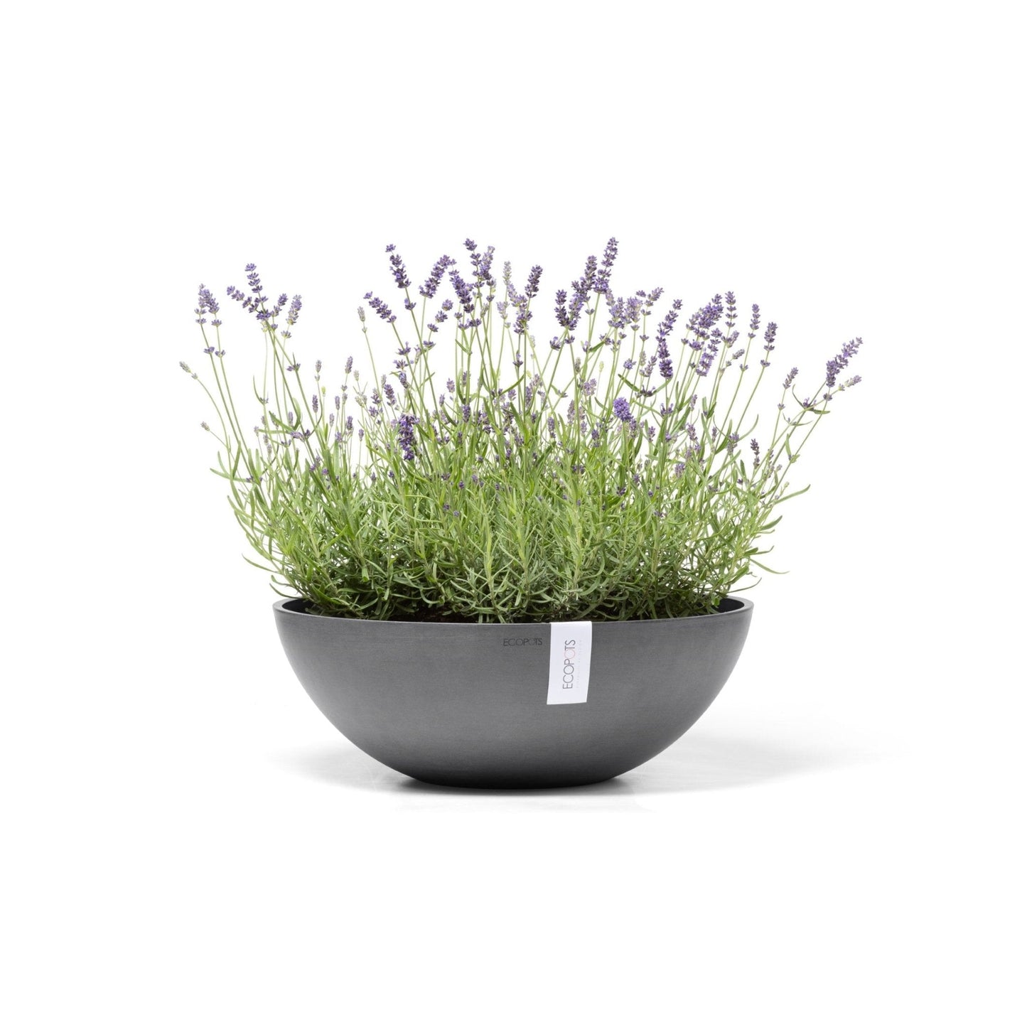 Kukkaruukku - Ecopots - Vienna 50cm harmaa - Ecopots - Uuden aikakauden kukkaruukku kierrätysmateriaalista