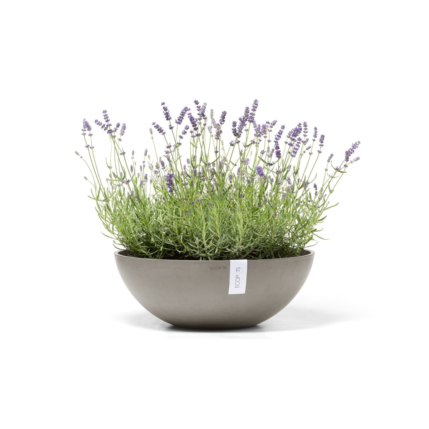 Kukkaruukku - Ecopots - Vienna 50cm taupe - Ecopotskauppa - Uuden aikakauden kukkaruukku
