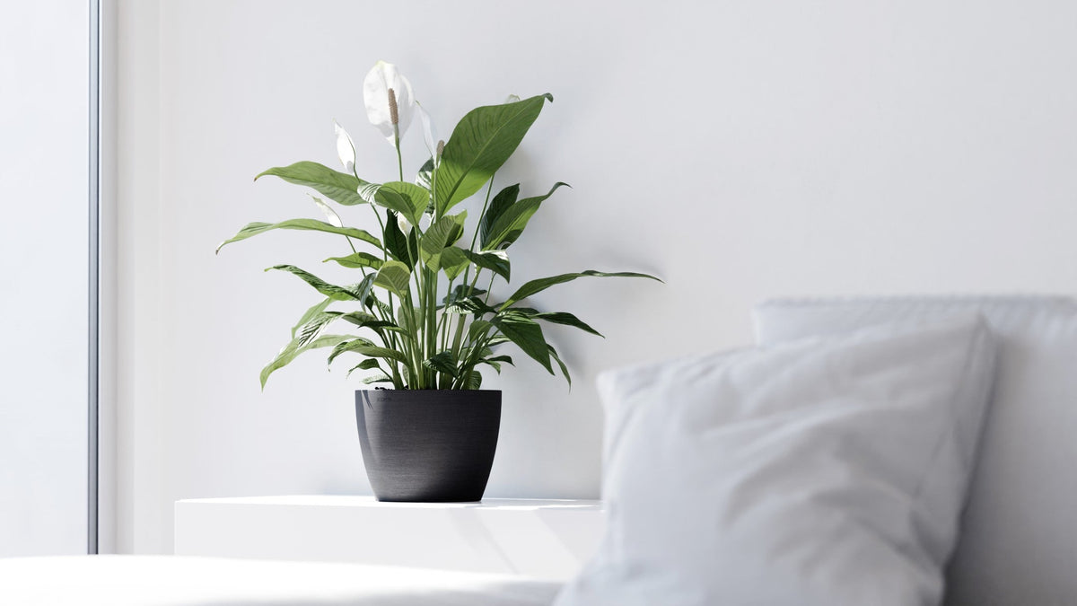 Kukkaruukku Tukholma 40cm tummanharmaa - Ecopots
