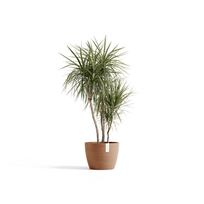 Kukkaruukku Tukholma 40cm terracotta - Ecopots