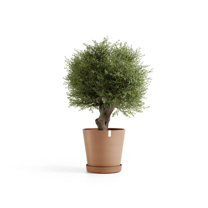 Aluslautanen Amsterdam pyörillä 70cm terracotta – kasvin kanssa 2