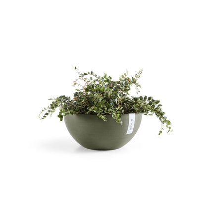 Kukkaruukku Brysseli 25cm kaki – kasvin kanssa