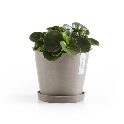 Kukkaruukku Amsterdam 22cm taupe – aluslautasen ja kasvin kanssa 3