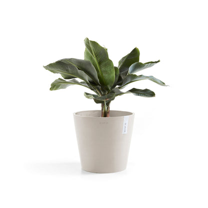 Kukkaruukku Amsterdam 30cm hiekka – kasvin kanssa 2