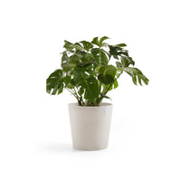 Kukkaruukku Amsterdam 60cm hiekka
