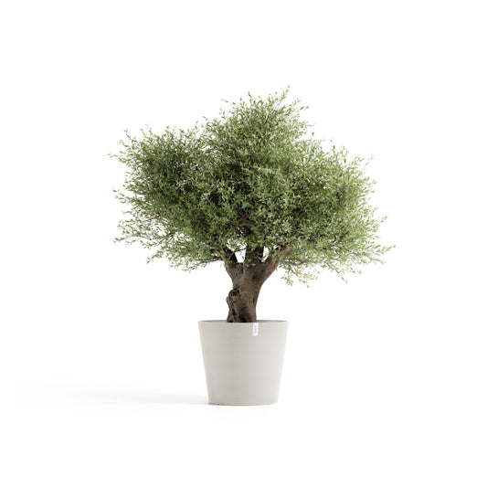 Kukkaruukku Amsterdam 70cm hiekka – kasvin kanssa