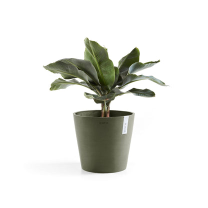 Kukkaruukku Amsterdam 40cm kaki – kasvin kanssa 2