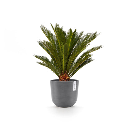 Kukkaruukku Oslo 20cm harmaa – kasvin kanssa 3