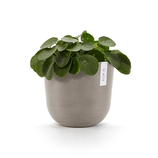 Kukkaruukku Oslo 20cm taupe – kasvin kanssa