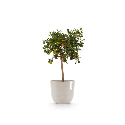 Kukkaruukku Oslo 20cm hiekka – kasvin kanssa 4