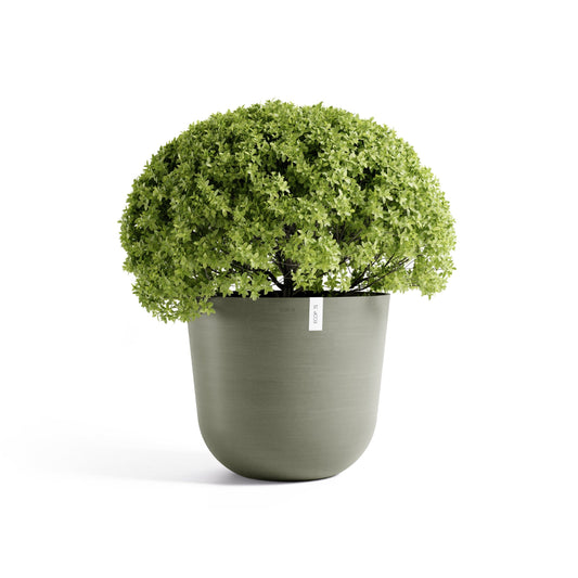 Kukkaruukku Oslo 65cm kaki – kasvin kanssa